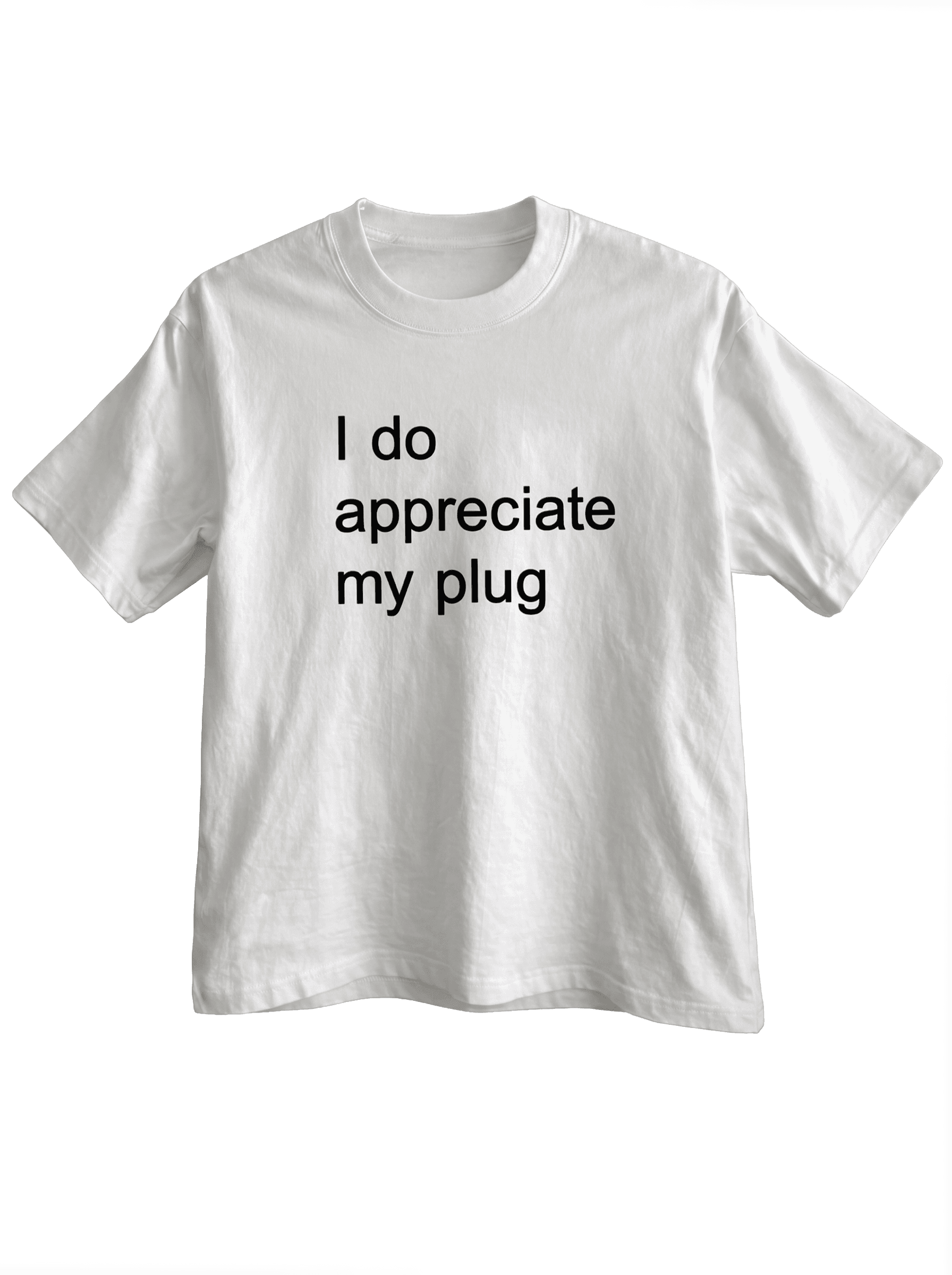 Plug
